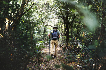 Wall Mural - Man trekking in a forest