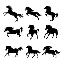 Horse Animal Silhouette Black Icon Flat Design Element Vector Illustration