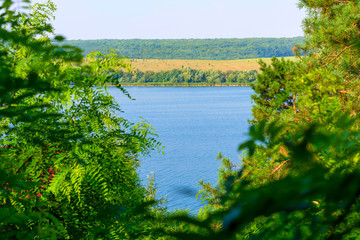 Photo of side of the blue river through green forest