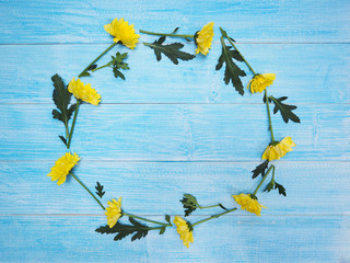 Wall Mural - yellow chrysanthemums flowers on vintage blue wood.