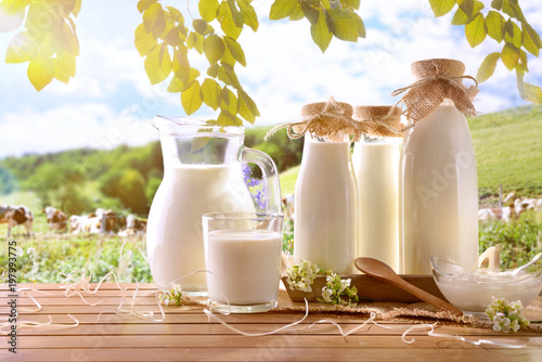 Fotomural Glass containers filled with cow milk in a meadow