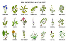 Herbal Remedies For Healing Cuts And Scrapes
