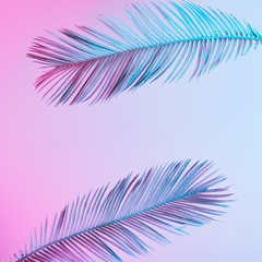 Wall Mural - Tropical and palm leaves in vibrant bold gradient holographic neon  colors. Concept art. Minimal surrealism background.