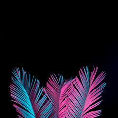 Wall Mural - Tropical and palm leaves in vibrant bold gradient holographic neon  colors. Concept art. Minimal surrealism background.