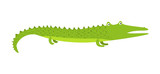 Fototapeta Dinusie - Cute bright cartoon green long crocodile with short legs. Childish flat illustration of alligator for kids book design, stickers, educational and fun games, print