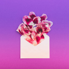 Wall Mural - the petals of tulip flower in a paper envelope letter with gradient color. flat lay, top view. pastel minimalism