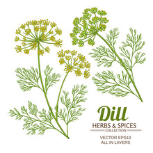 Dill Plant Vector Set