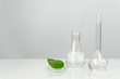 canvas print picture - green leaf with laboratory glassware and equipment