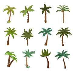 Canvas Print - California palm trees. Summer tropical plant vector set