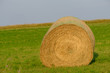 Fertile farms and large hay bales sit at the edge of the land on Prince Edward Island