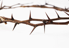 Crown Of Thorns Isolated On White Background, Copy Space (religion, Christianity, Faith Concept)