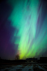 Wall Mural - big beautiful multicolored northern lights in finland