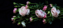 Bouquet Of Beautiful Pale Pink Roses And Ranunculus On A Dark Background. Low Key.top View.banner