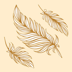  Hand drawn vector feathers set