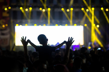 Young fan watches the performance of his favorite music band