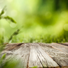 table background of spring time and green space 