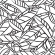 Vector seamless pattern with outline monochrome leaves. Black and white nature background