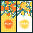 Vector label background with lemons, oranges and leaves. Summer tropical vertical banner with place for text