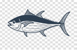 silhouette of tuna