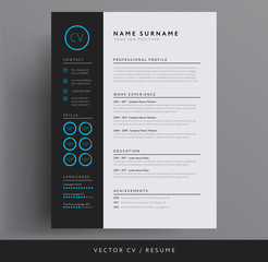 Stylish CV / resume template - blue and dark gray backgound