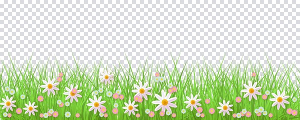 Spring border with green grass and flowers on transparent background - greeting card decoration element for Easter congratulation or poster. Cartoon vector illustration.