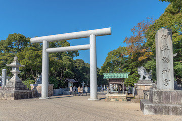 Wall Mural - 伊弉諾神宮 参道風景