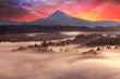 © David Gn - Mount Hood Foggy Sunrise in beautiful Oregon