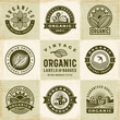 Vintage Organic Labels And Badges Set. Editable EPS10 vector illustration in retro woodcut style with clipping mask and transparency.