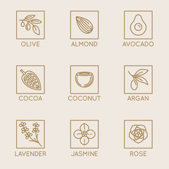 Poster - Vector set of natural ingredients and oils for cosmetics in linear style - packaging design templates and emblems