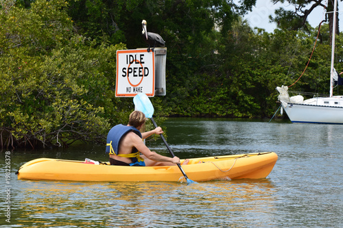 Fotografie, Obraz Young man kayaking by boating sign with pelican on calm tree-lined waterway