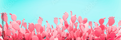 Unusual Pink Cactus Field On Turquoise Background Poster