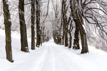  Road in the mountains covered with snow. Winter landscape. The concept of freedom and movement.