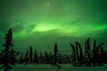 Wall Mural - beautiful winter landscapes at night with green aurora lighting up the sky