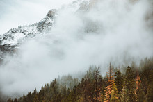 Fog Over Mountain With Pine Tree Forest