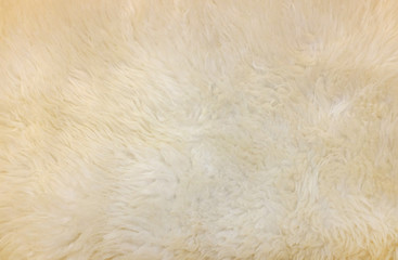 synthetic fur cream color texture for the background.