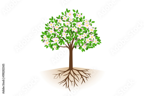 花が咲いた根っこ付きの木 Stock ベクター Adobe Stock