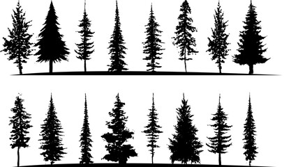 Collection tree silhouette isolated on white background.