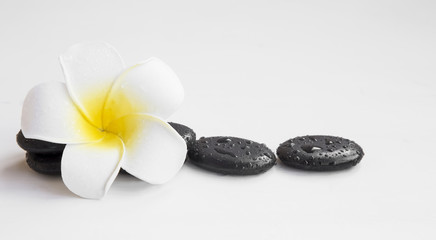 Wall Mural - Spa still life with frangipani flower and massage stones isolated on white