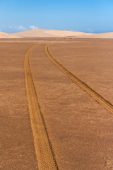 Sticker - Tyre tracks through the desert