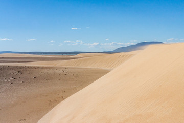 Sticker - Sand dune of desert