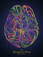 Vector Colorful Illustration Of Human Brain With Synapses. Conceptual Image Of Idea Birth, Creative Imagination Or Artificial Intelligence. Net Of Lines Forms Brain Structure. Futuristic Mind Scan.