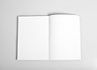 © Olha K - Open magazine with blank pages