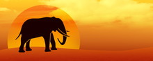 Elephant Silhouette In The Desert At Sunset