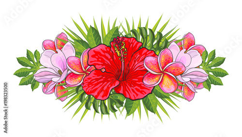 Tropical flowers beautiful isolated composition with hand drawn exotic blooms...