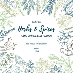 Hand drawn vector illustration. Frame with herbs and spices (sage, tarragon, ginger). Herbal pre-made composition. Perfect for menu, cards, prints, packing, leaflets