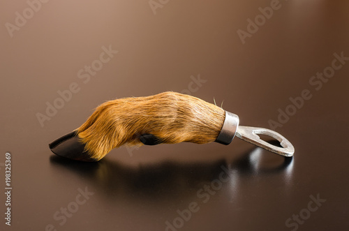 Fotografía Bottle opener, made of natural roe deer foot (with hoof), wild animal protection