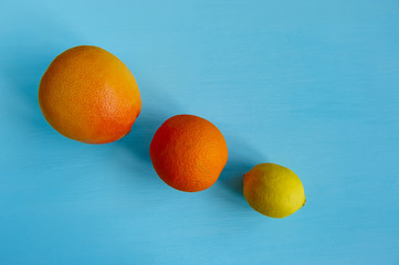 Wall Mural - row of citrus on a blue background, diagonal