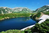 Fototapeta Góry - Tateyama alpine / Toyama  ~  summer