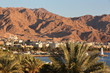 General view of the town of Aqaba at sunset with Palm trees in the foreground and mountains in the background, Jordan, Middle East