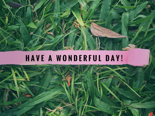 Inspirational greetings - ‘Have a wonderful day’ written on ripped pink paper with background of green grass.